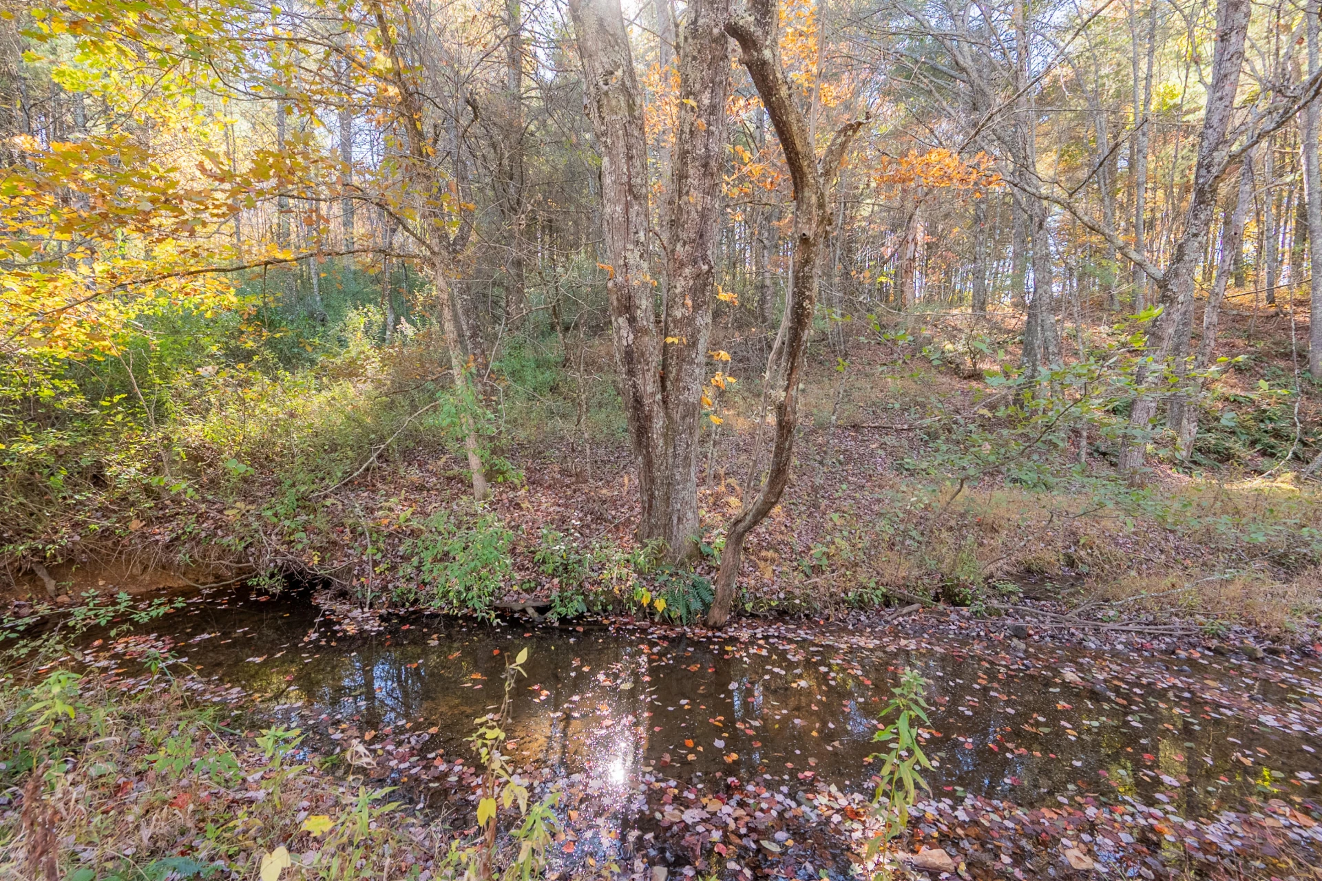 254 Dusty Mile RD - Photo 124