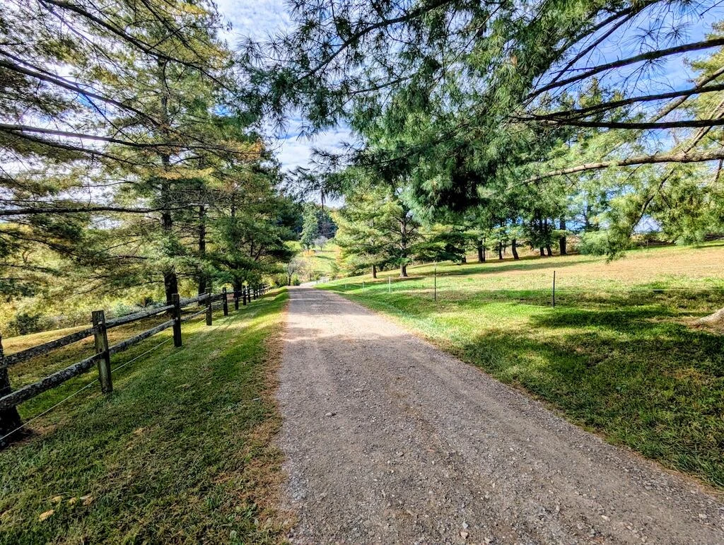 2363 Bethlehem Church RD - Photo 25