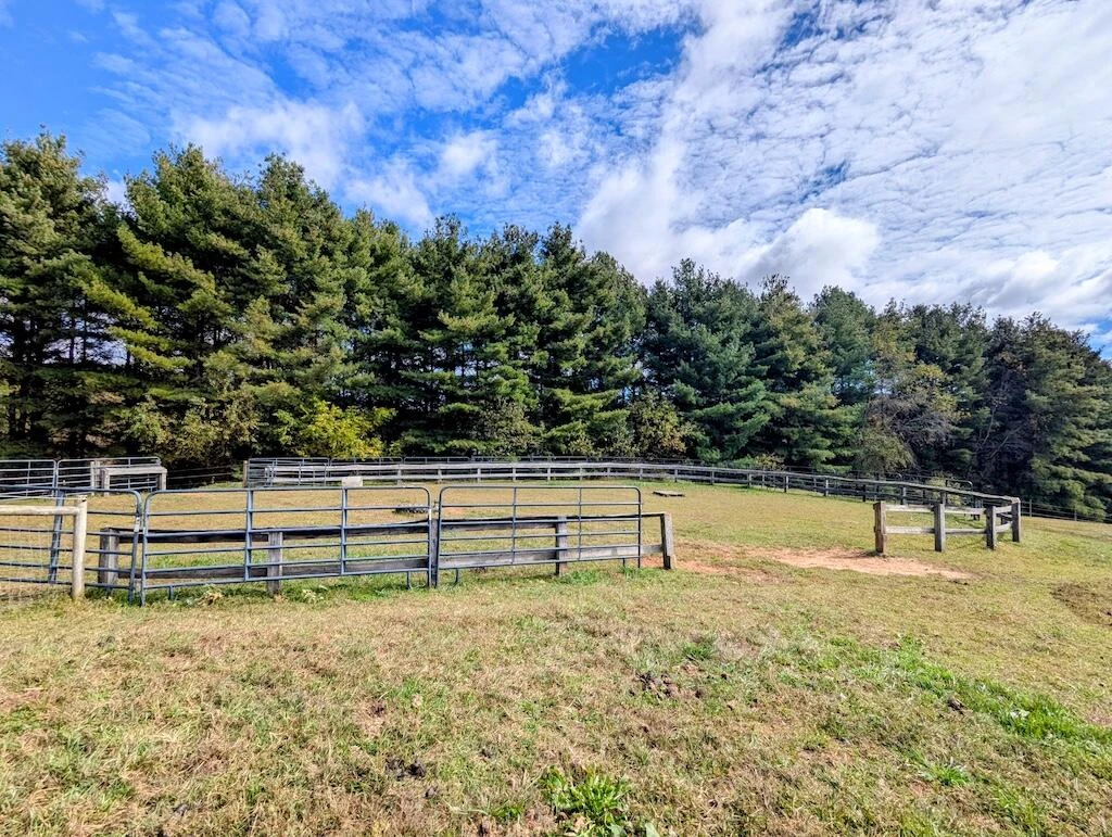 2363 Bethlehem Church RD - Photo 28