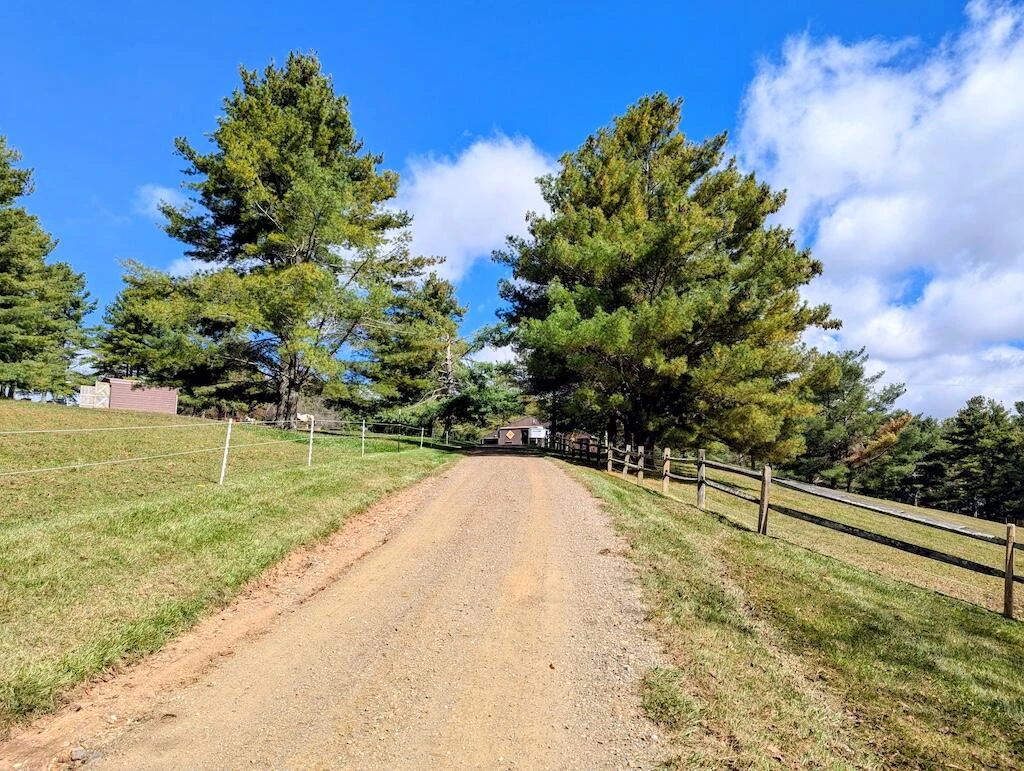 2363 Bethlehem Church RD - Photo 31