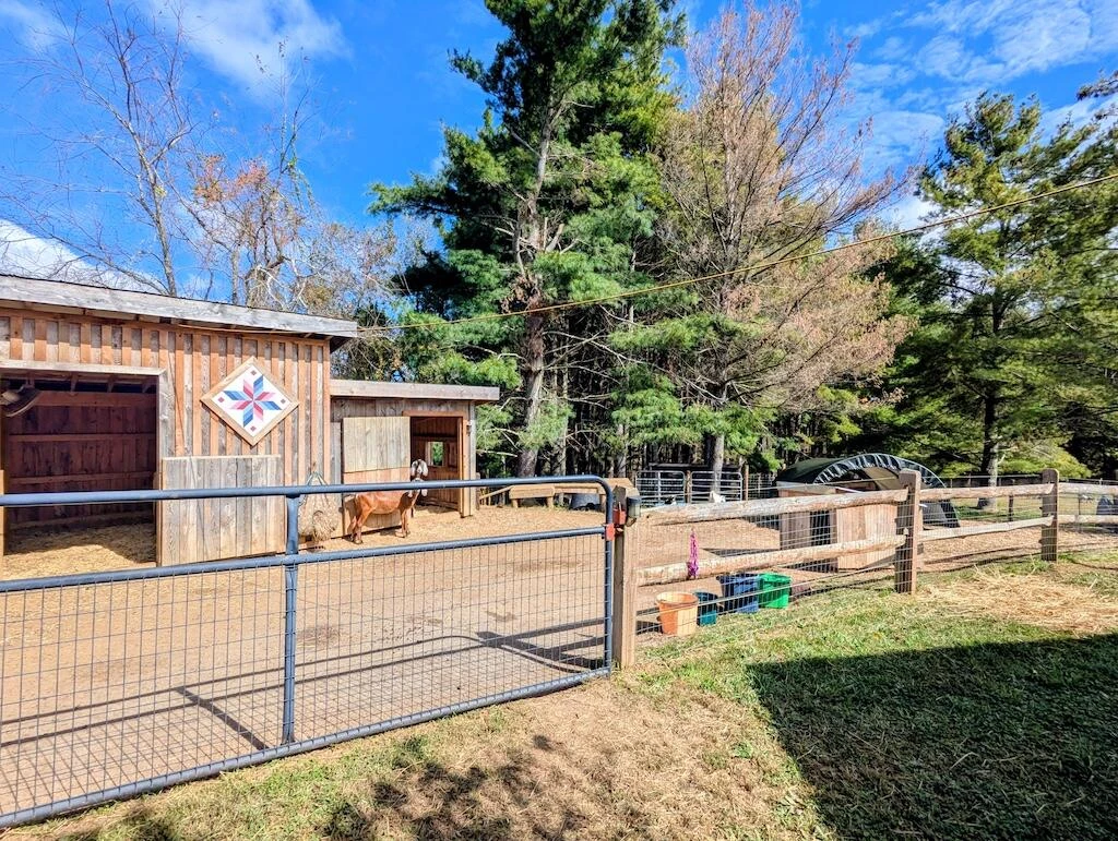2363 Bethlehem Church RD - Photo 36
