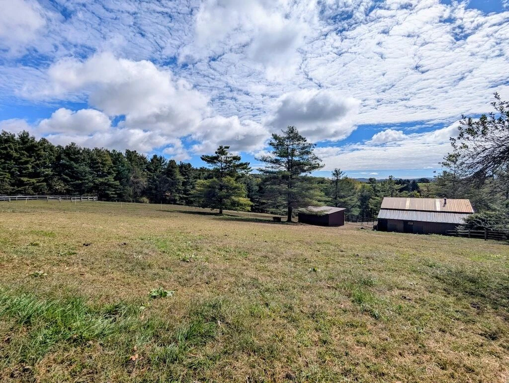 2363 Bethlehem Church RD - Photo 39