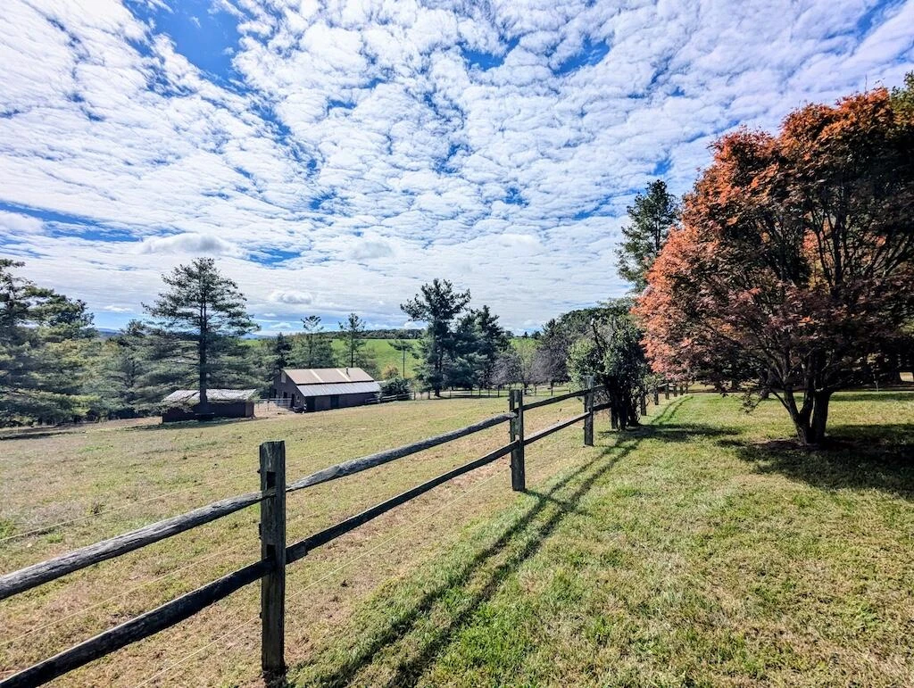 2363 Bethlehem Church RD - Photo 4