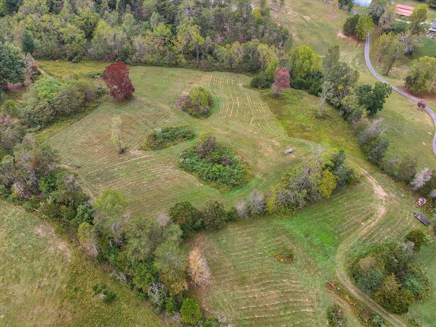 6481 Roanoke RD - Photo 32