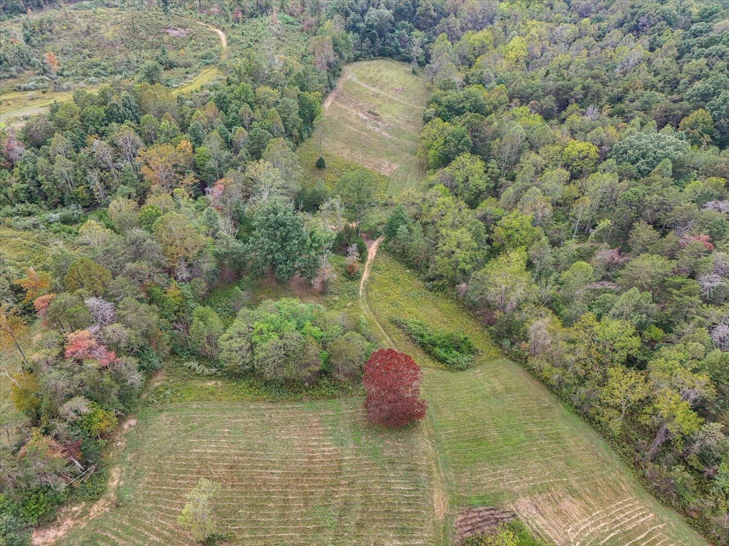 6481 Roanoke RD - Photo 33