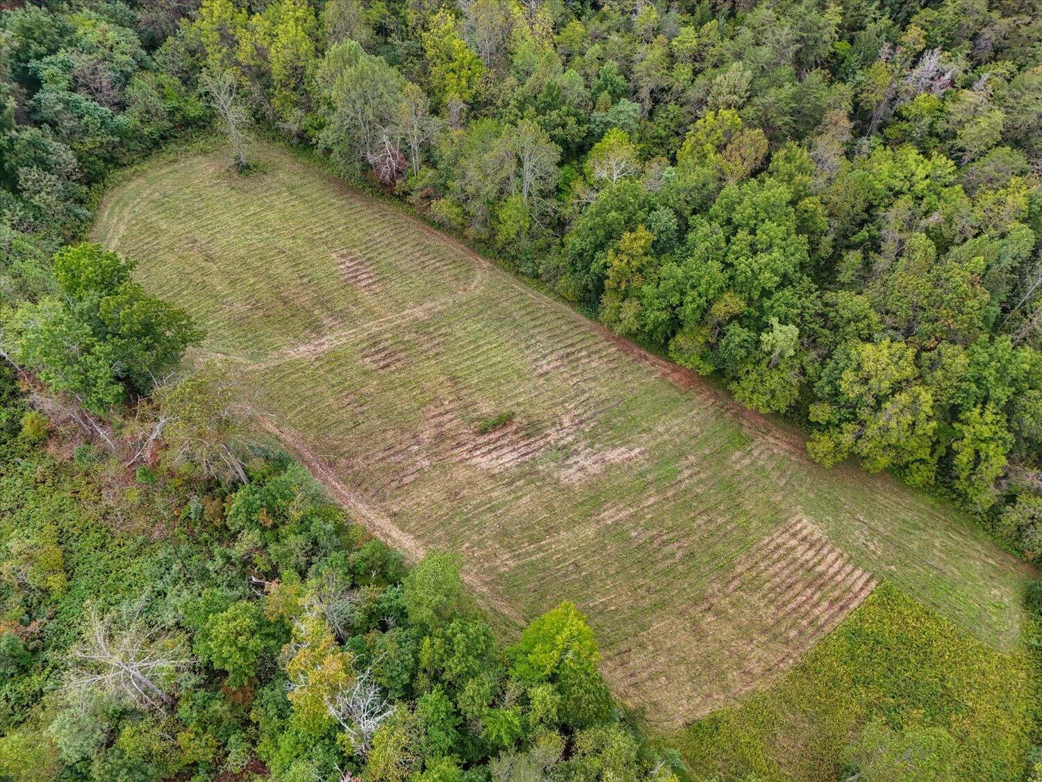 6481 Roanoke RD - Photo 35