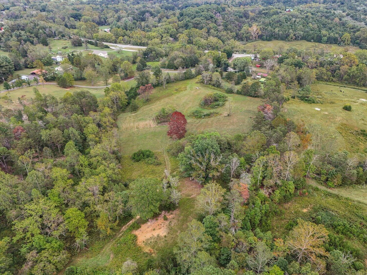 6481 Roanoke RD - Photo 36