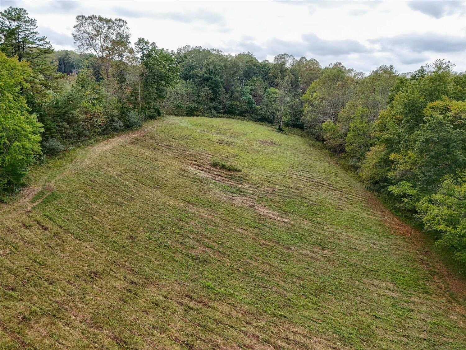 6481 Roanoke RD - Photo 37