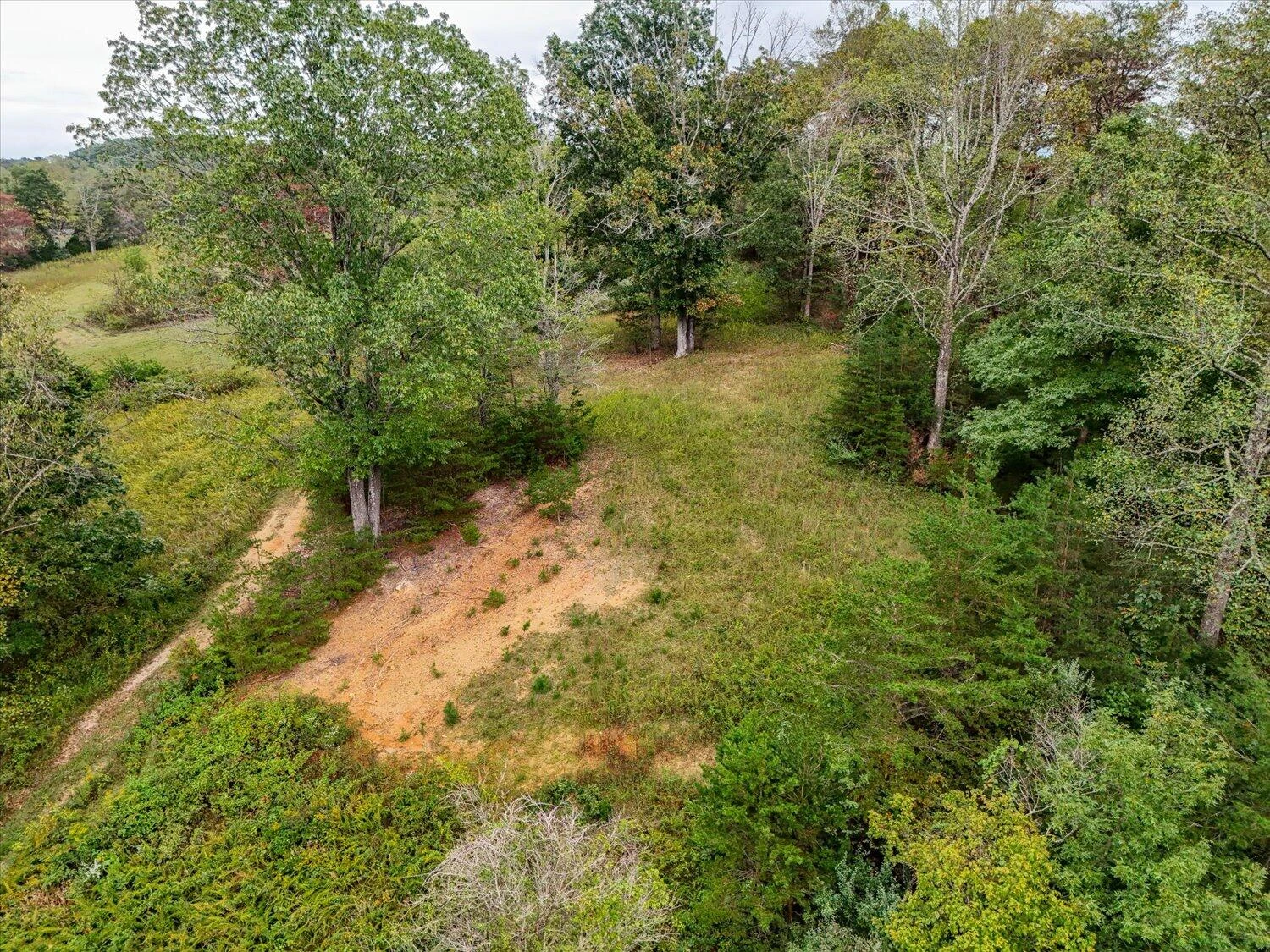 6481 Roanoke RD - Photo 38