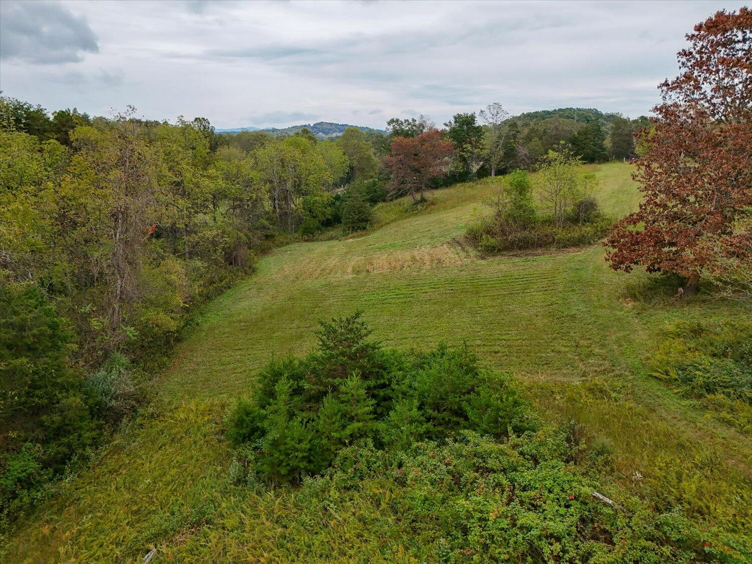 6481 Roanoke RD - Photo 39