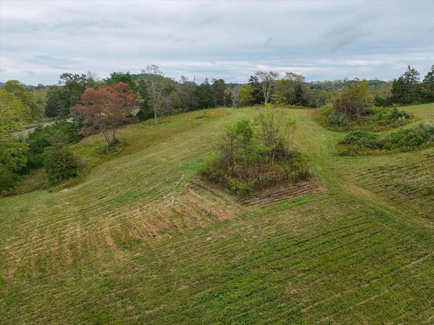 6481 Roanoke RD - Photo 40