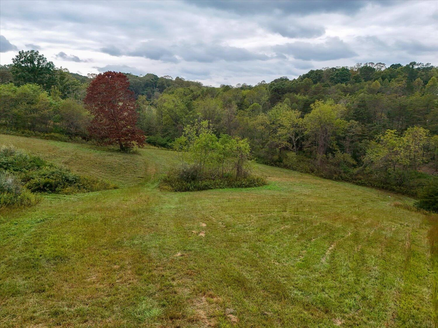 6481 Roanoke RD - Photo 41