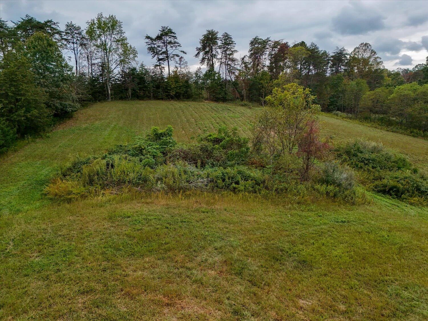 6481 Roanoke RD - Photo 42