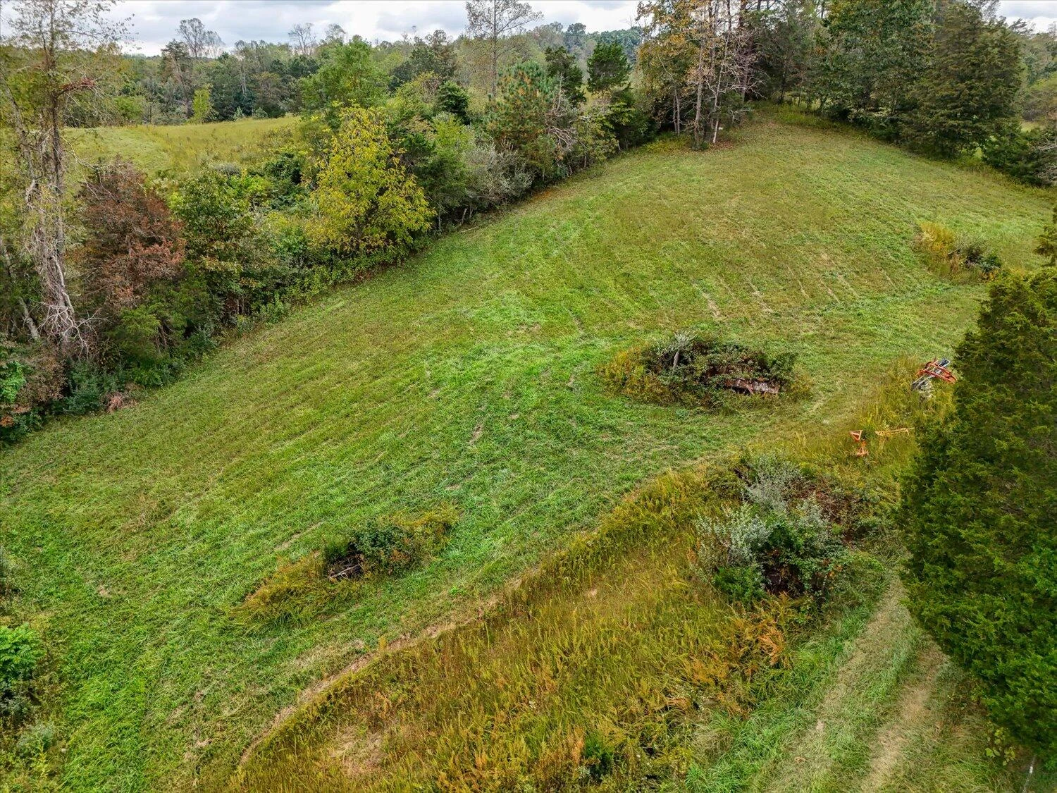 6481 Roanoke RD - Photo 44