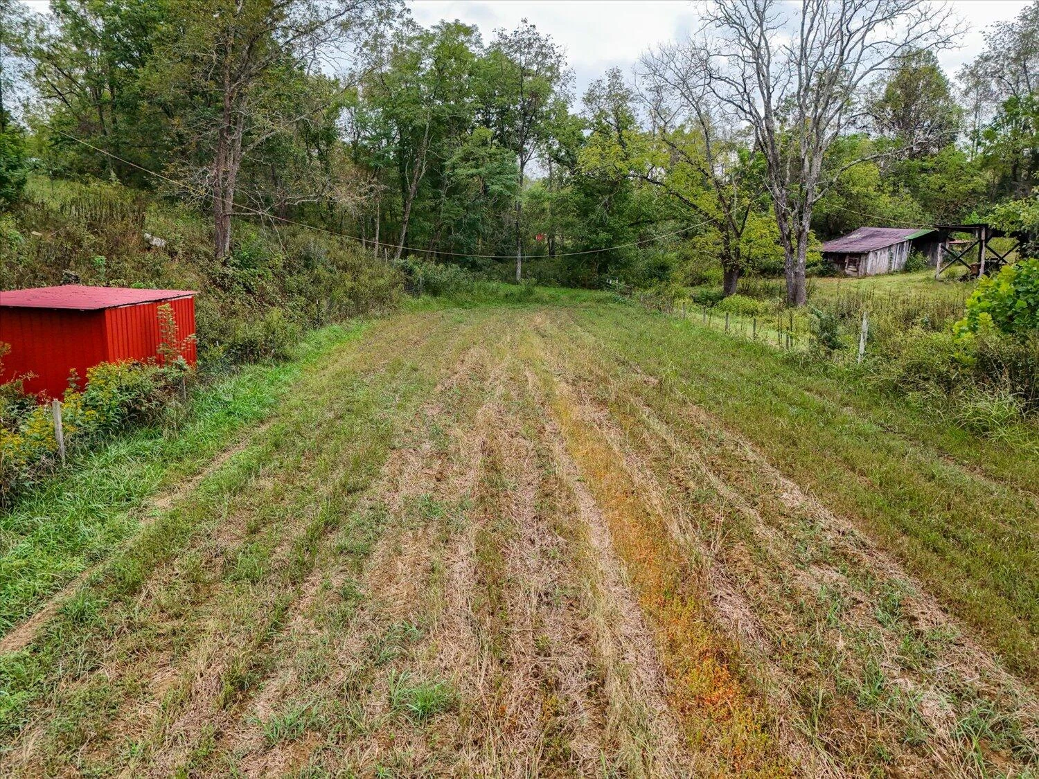 6481 Roanoke RD - Photo 46