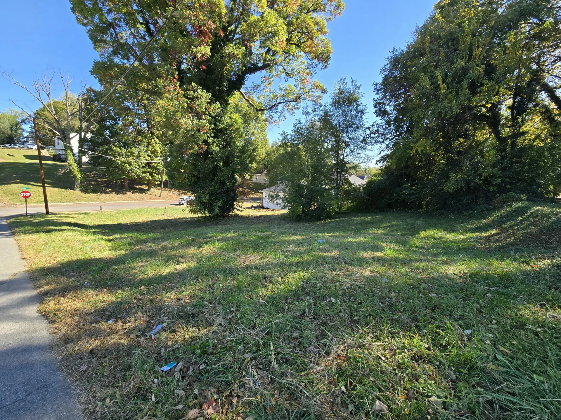 0 14th ST - Photo 3