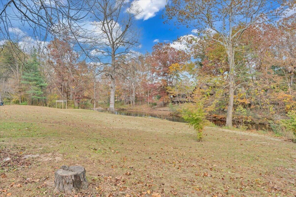 317 Craig Creek Estates DR - Photo 31