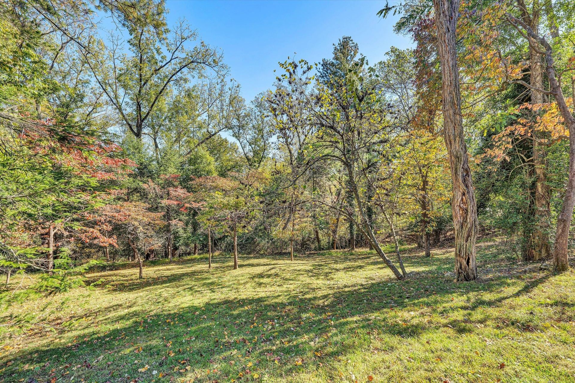 2312 Kipling ST - Photo 50