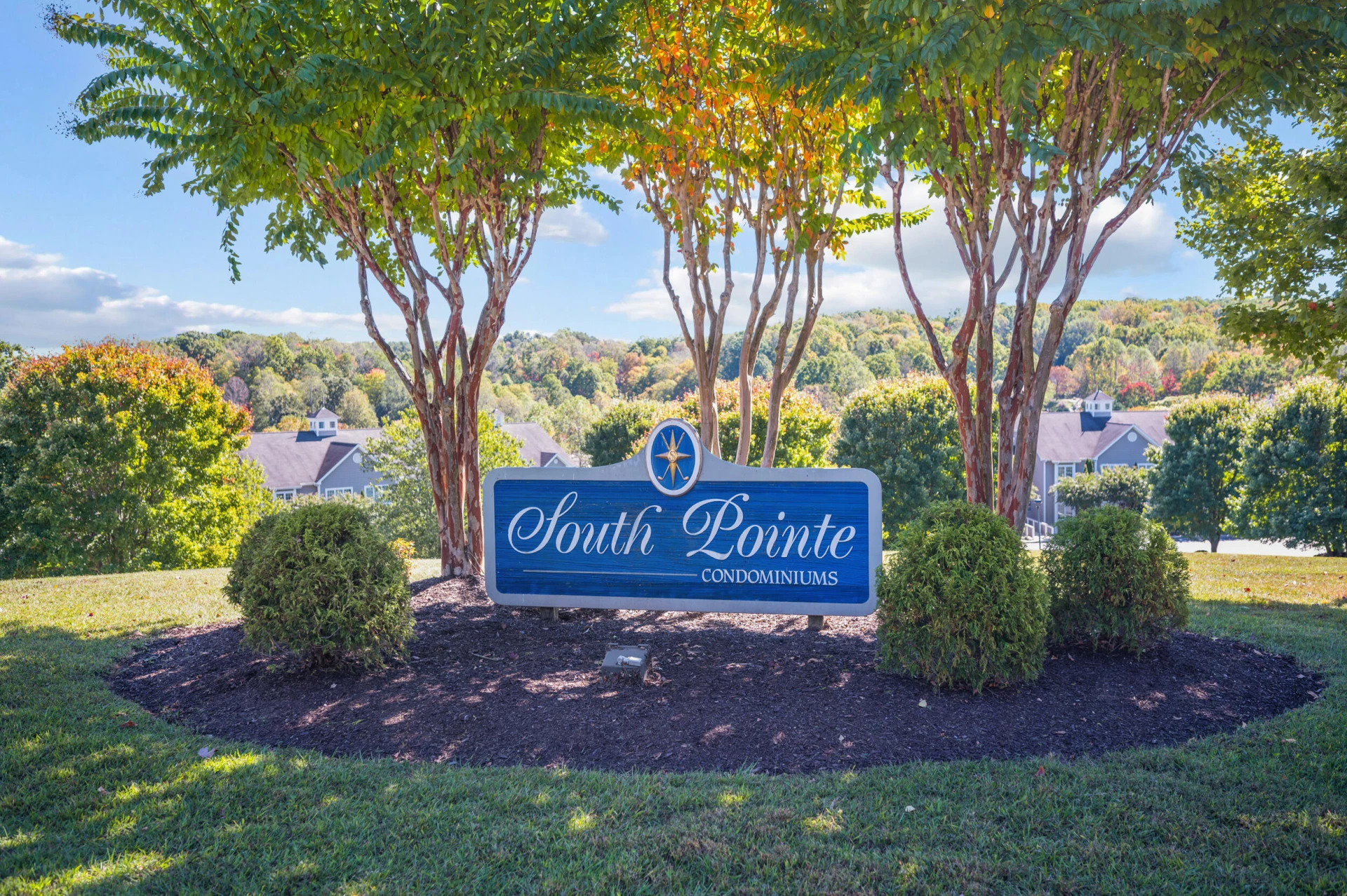 305 Pointe Shore DR #202 - Photo 3