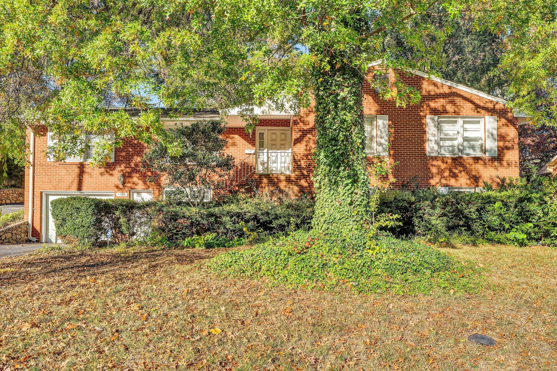 4566 Oakland BLVD - Photo 3