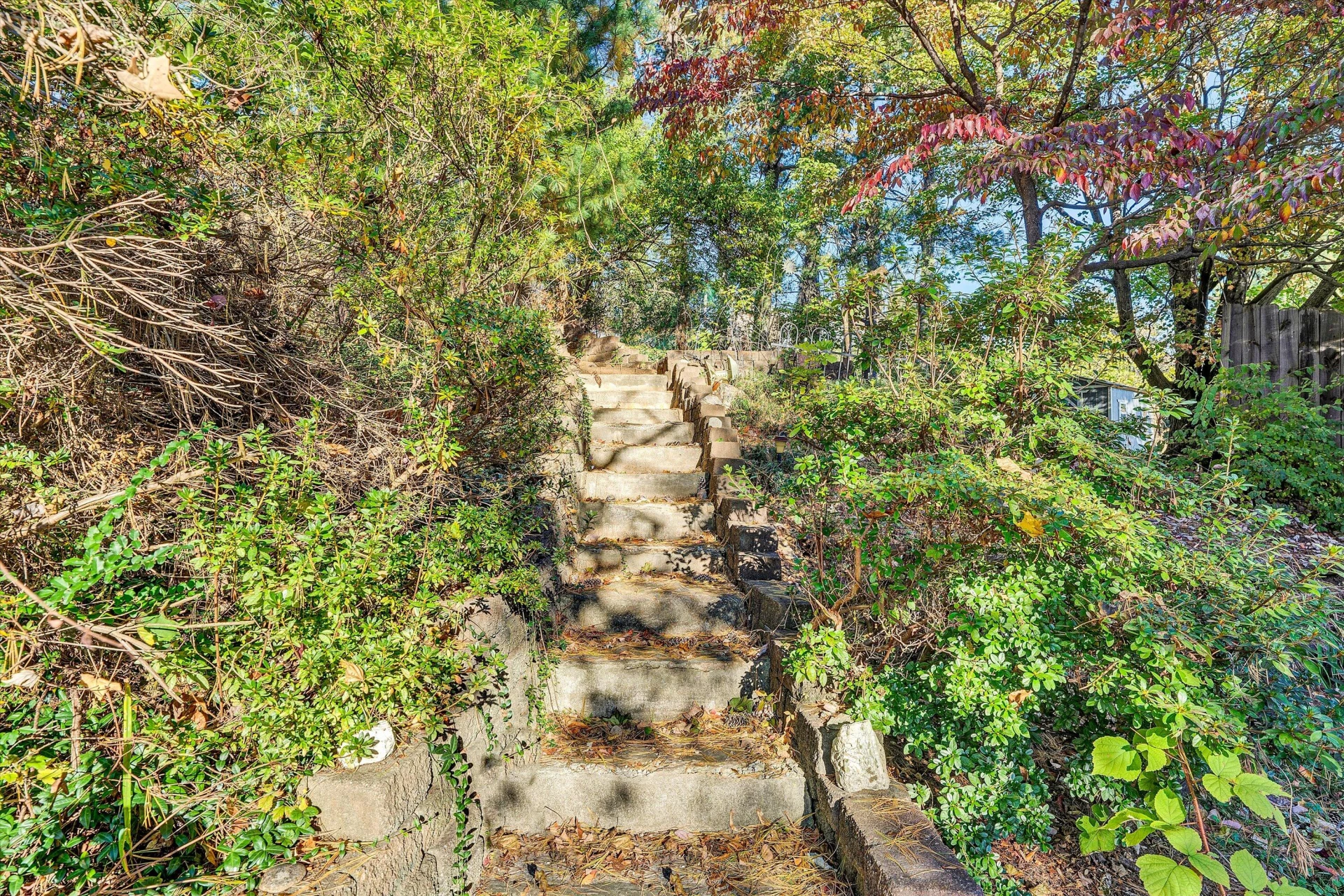 4566 Oakland BLVD - Photo 50