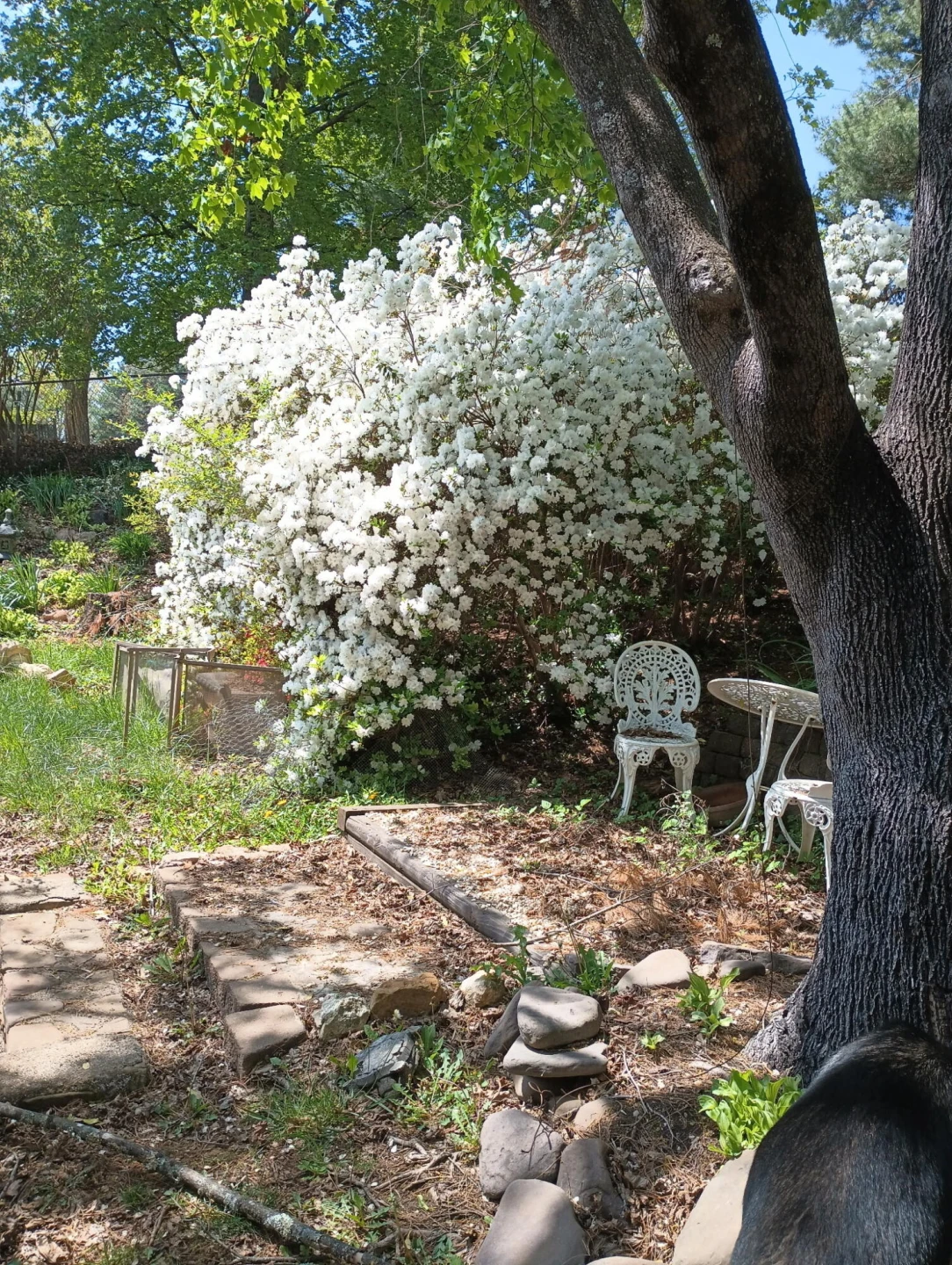 4566 Oakland BLVD - Photo 58
