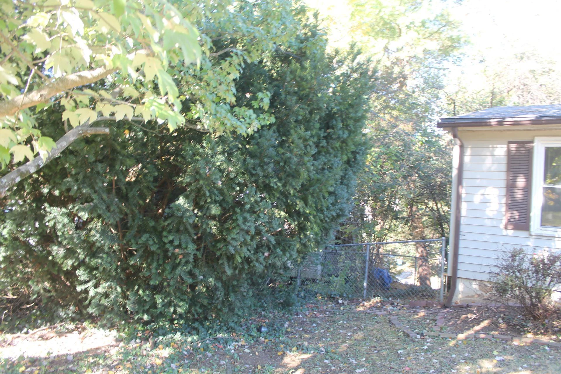 1414 Eastgate AVE - Photo 2