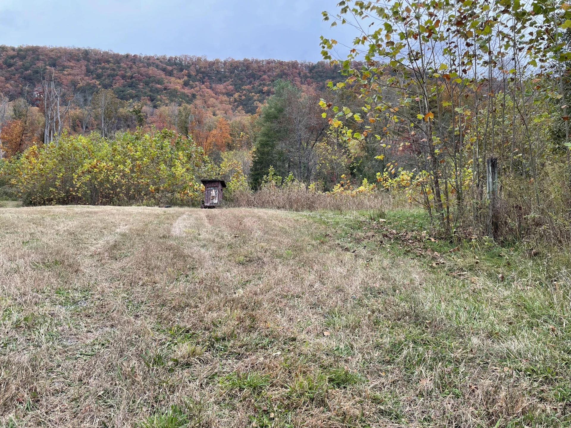 5829 Bradshaw RD - Photo 13