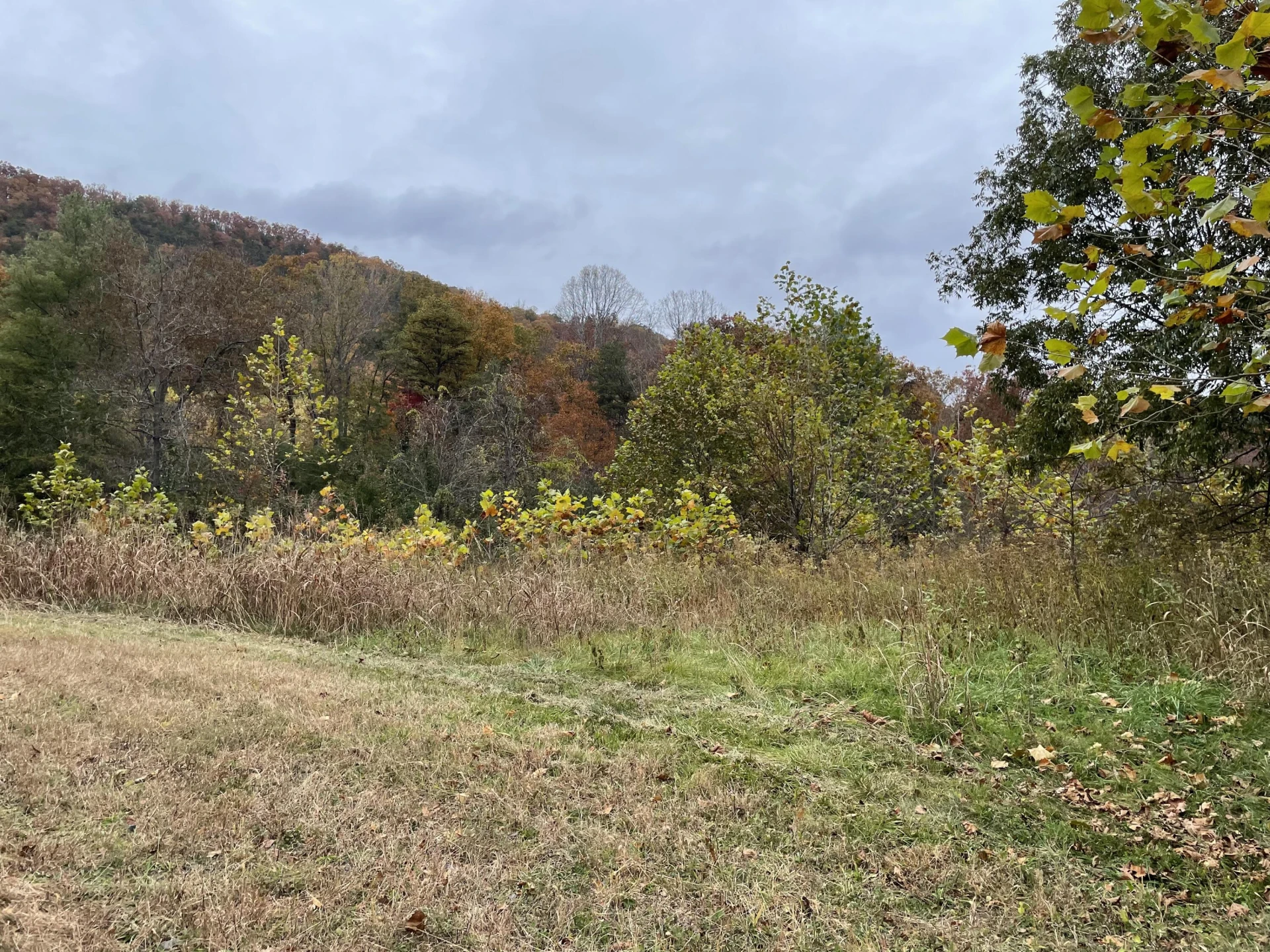 5829 Bradshaw RD - Photo 14