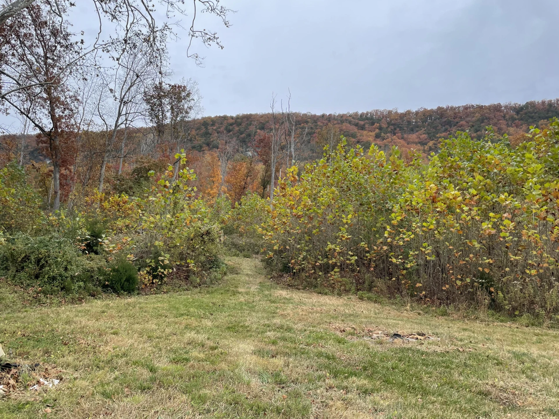 5829 Bradshaw RD - Photo 18