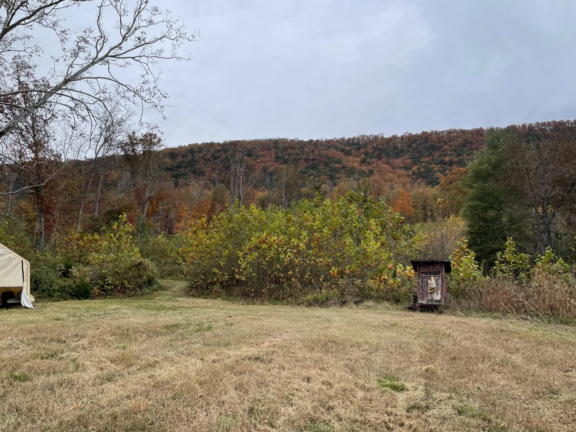 5829 Bradshaw RD - Photo 2