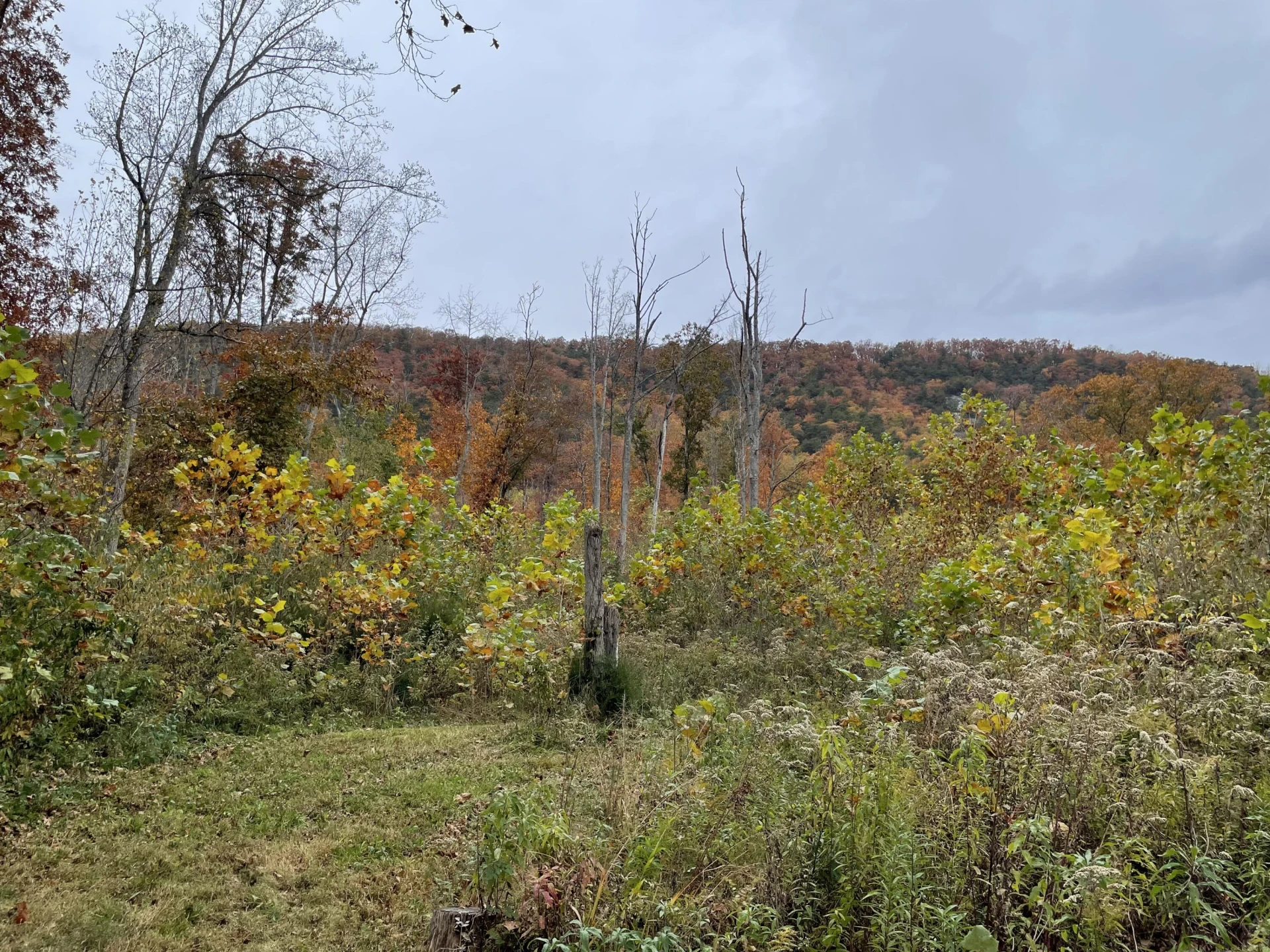 5829 Bradshaw RD - Photo 20