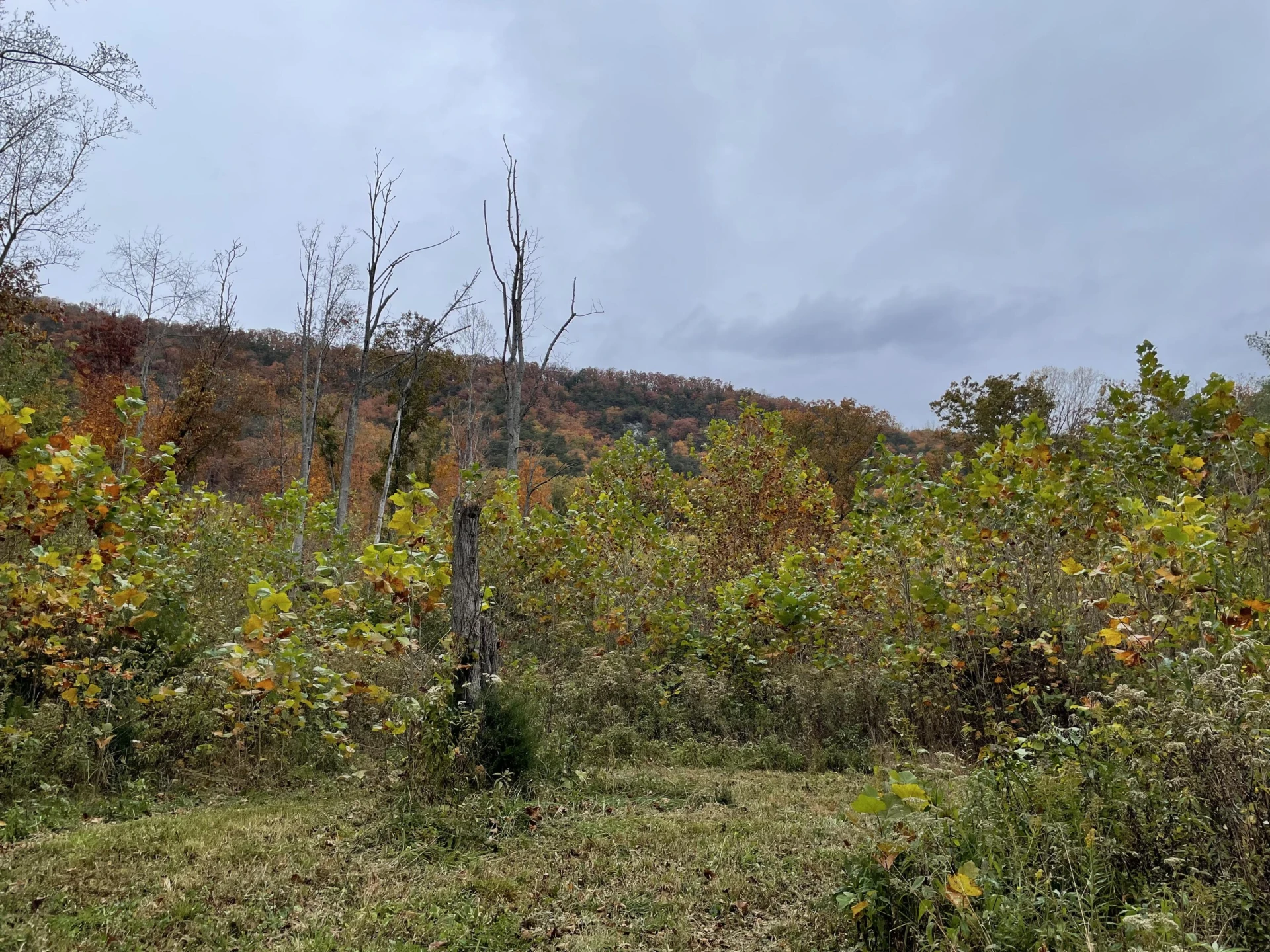5829 Bradshaw RD - Photo 21