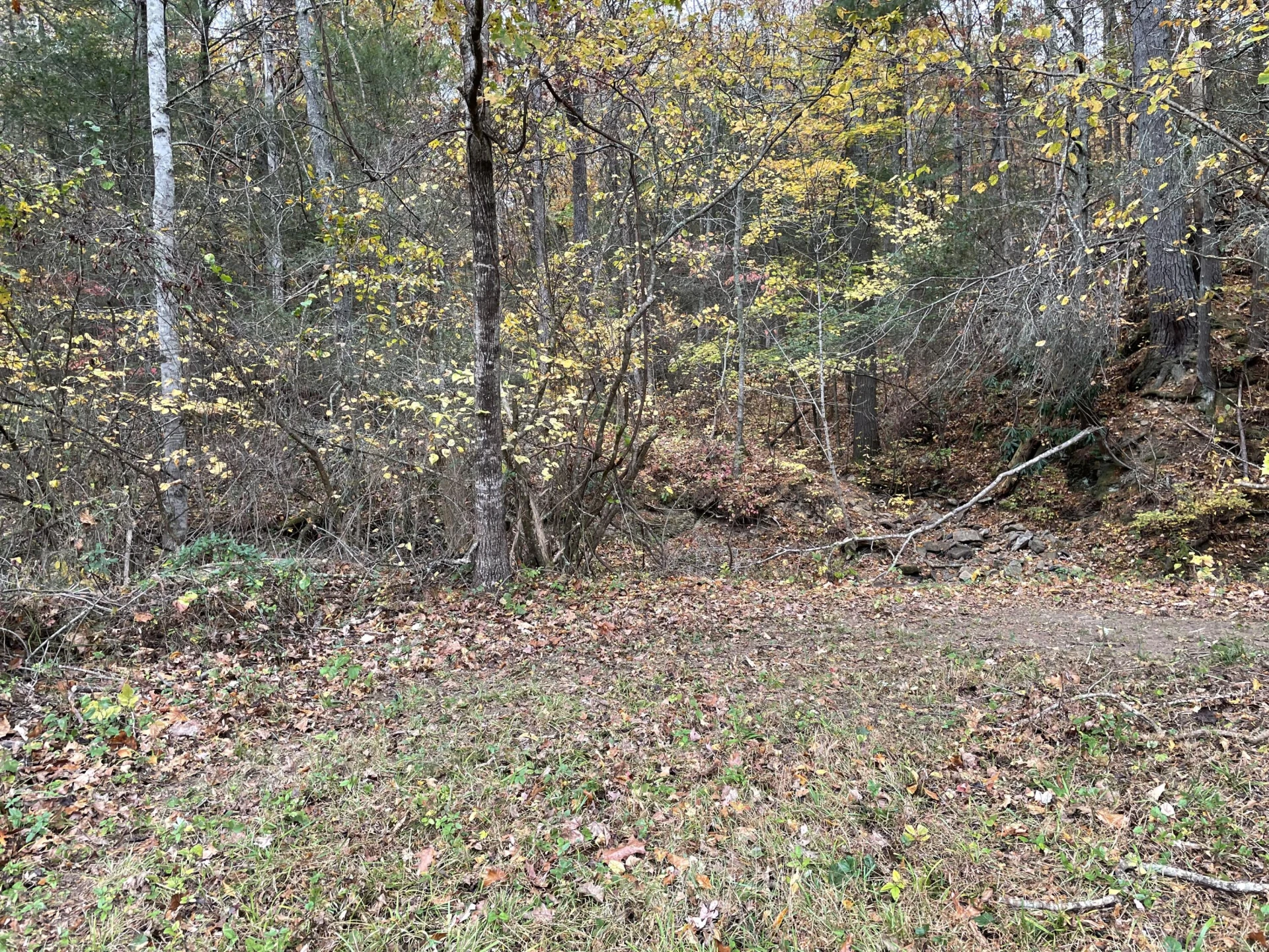 5829 Bradshaw RD - Photo 23