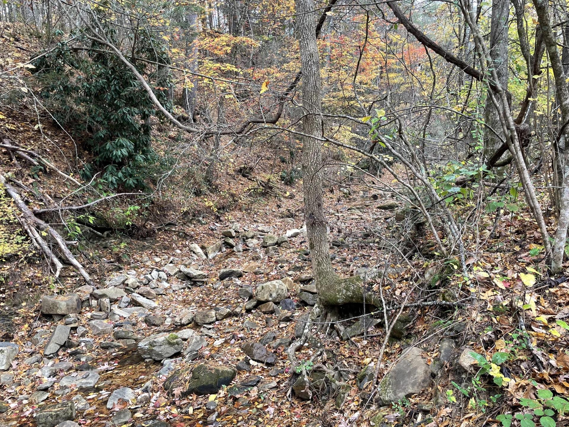 5829 Bradshaw RD - Photo 26