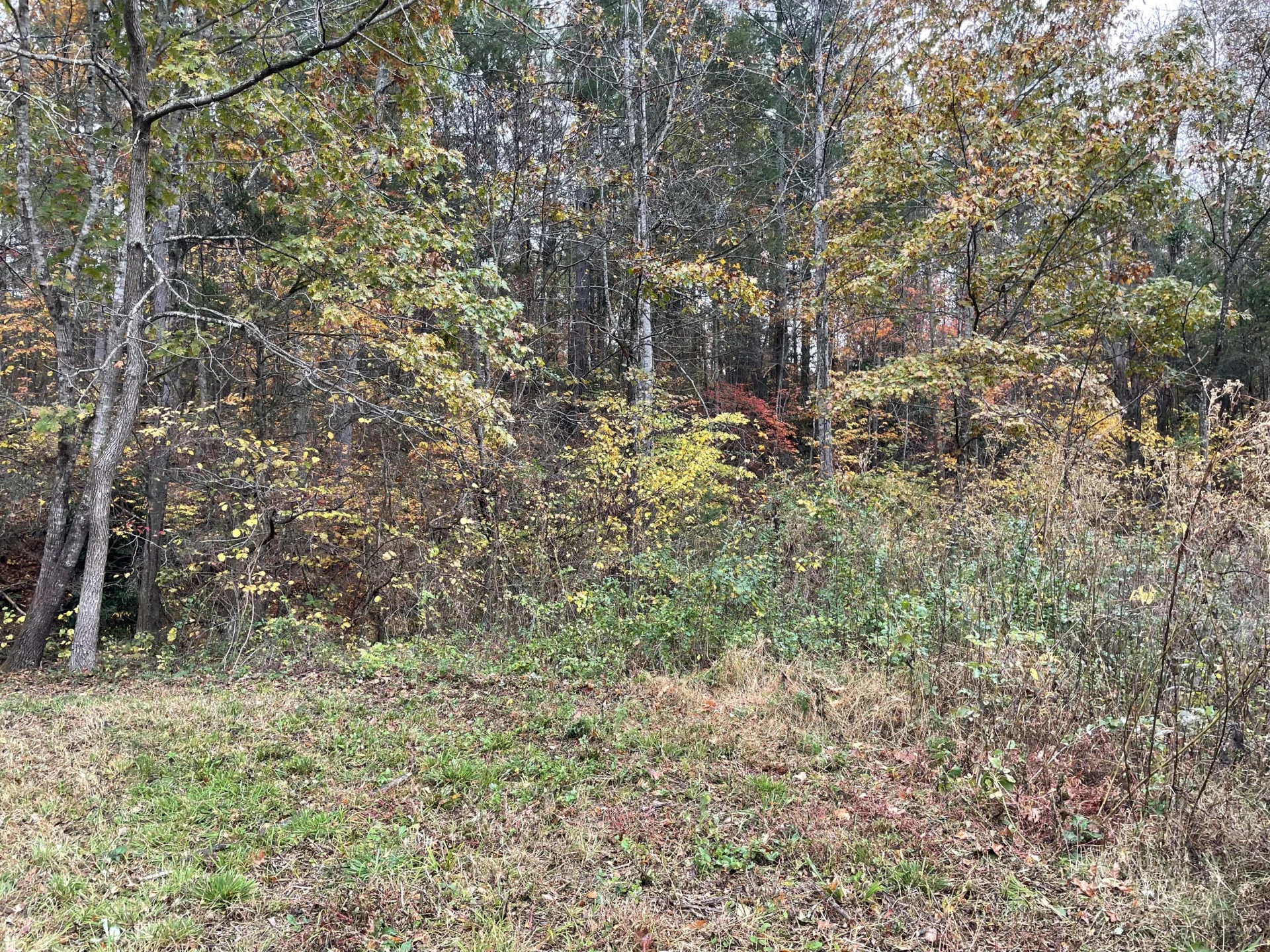 5829 Bradshaw RD - Photo 27
