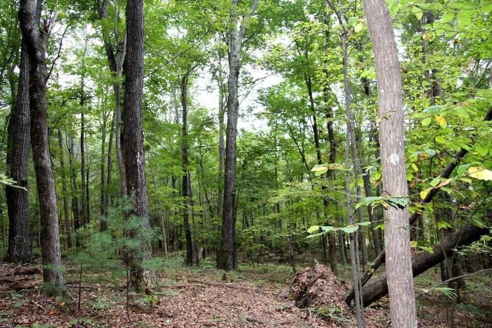 5829 Bradshaw RD - Photo 6