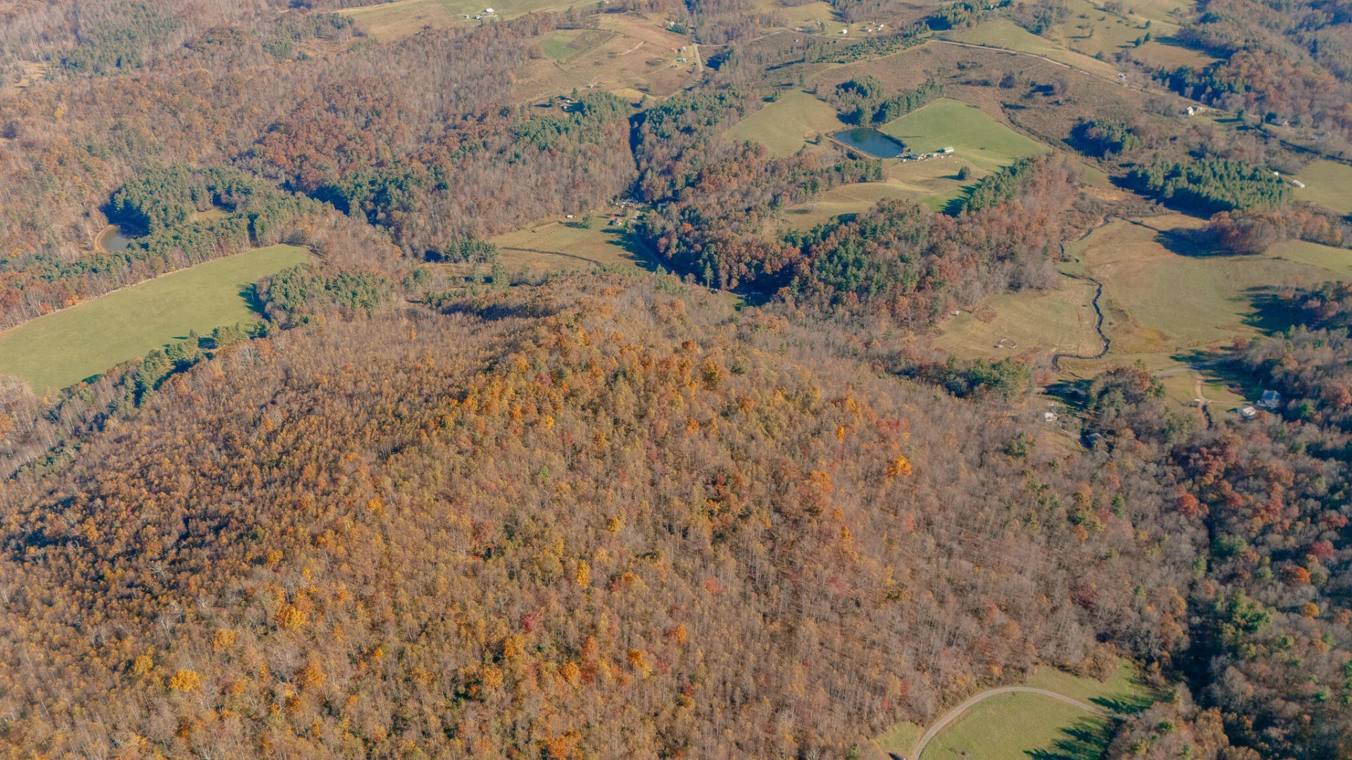0 Shelor RD - Photo 12