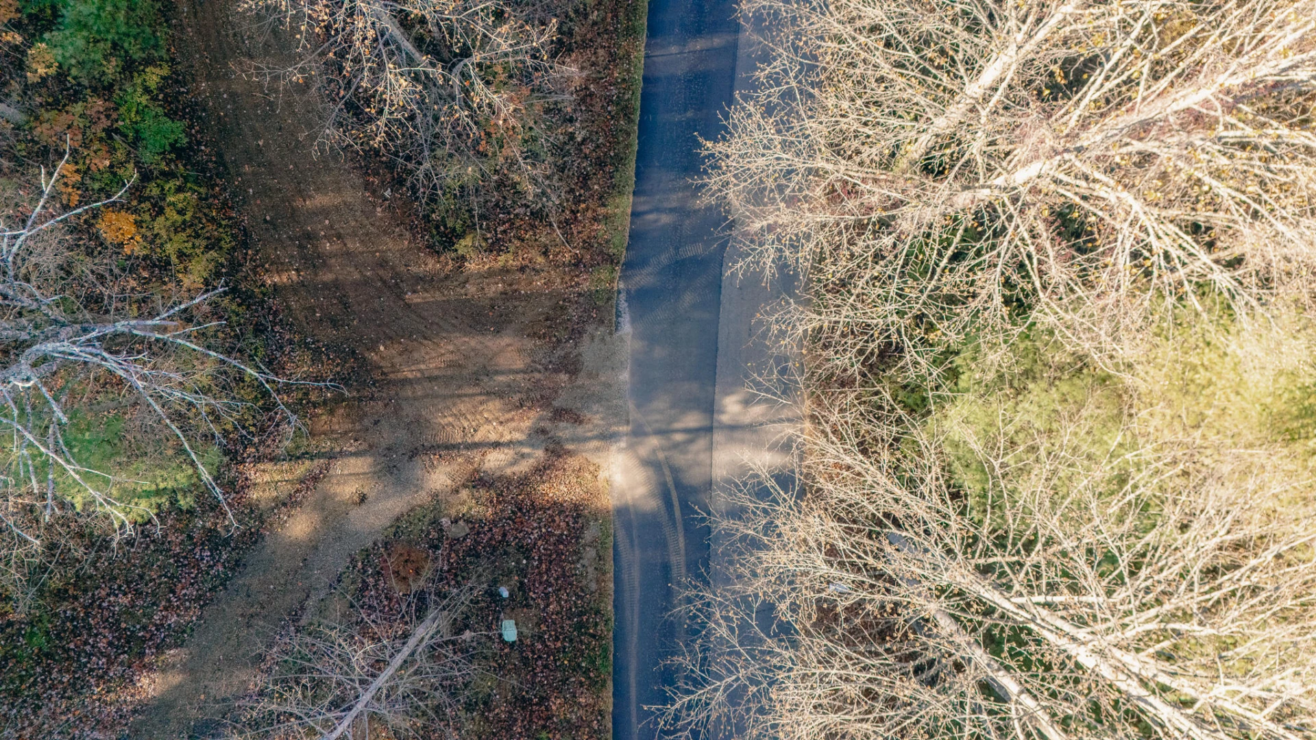 0 Shelor RD - Photo 18