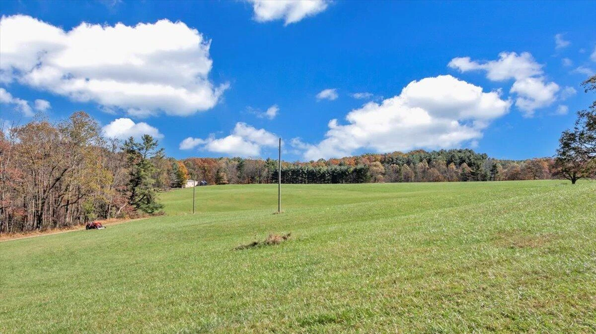 1533 Groundhog Mountain RD - Photo 118