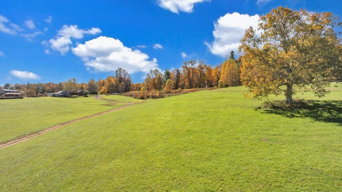 1533 Groundhog Mountain RD - Photo 119