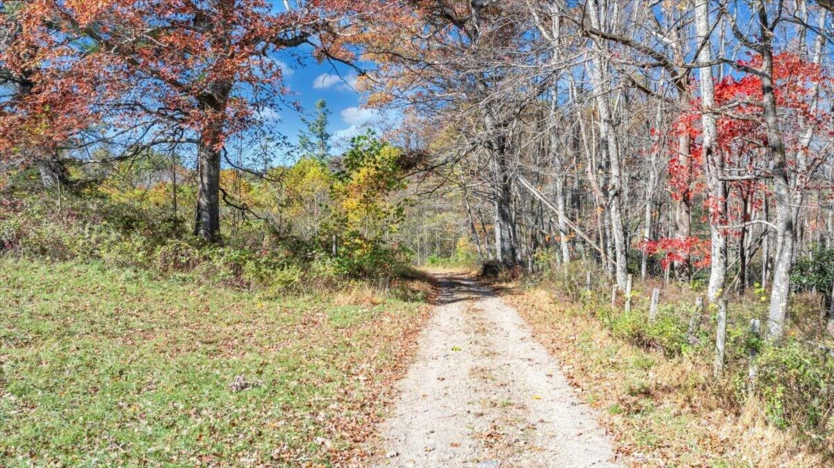 1533 Groundhog Mountain RD - Photo 121