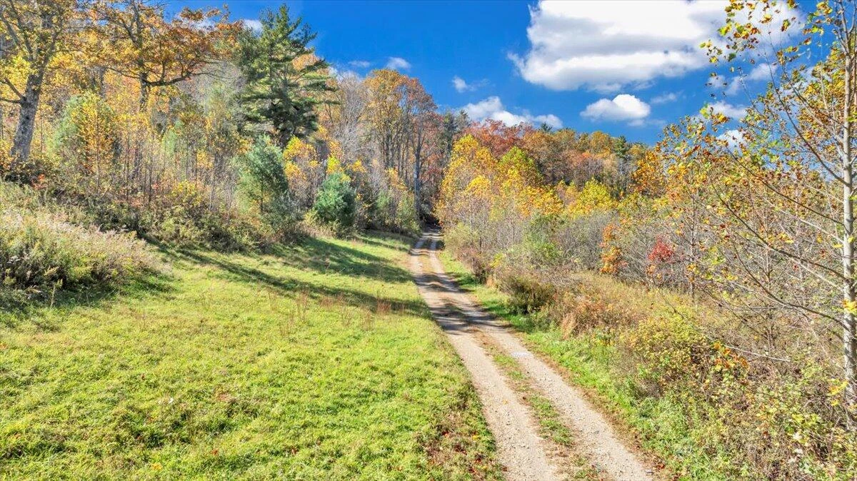 1533 Groundhog Mountain RD - Photo 122