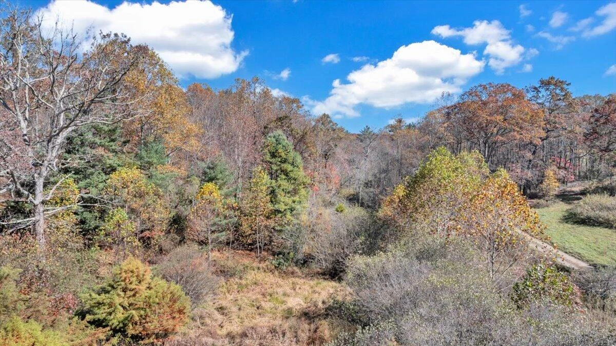 1533 Groundhog Mountain RD - Photo 129