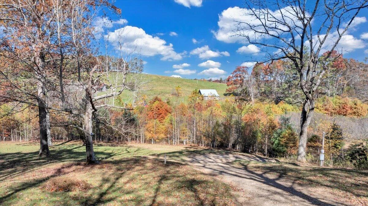 1533 Groundhog Mountain RD - Photo 140