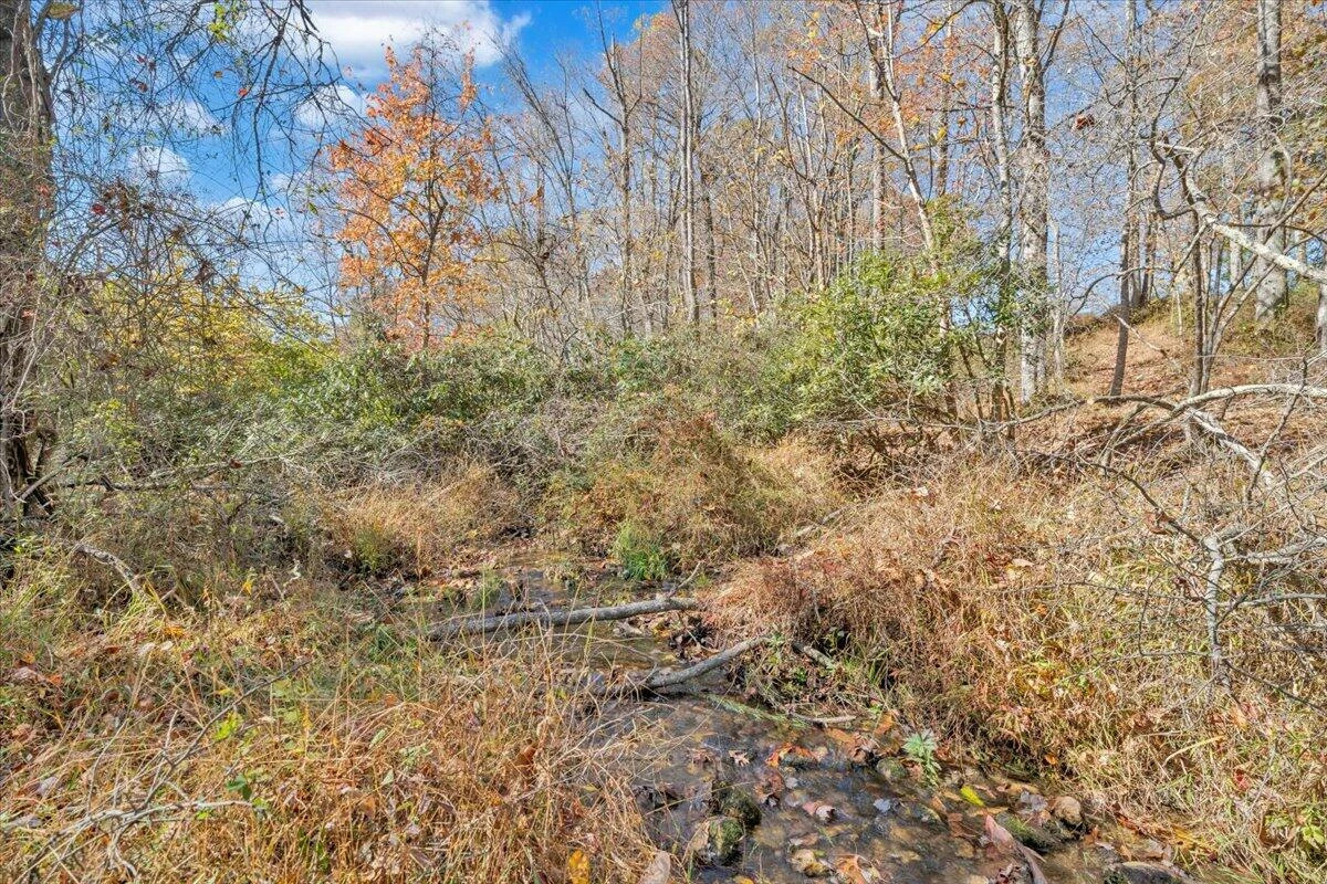 1533 Groundhog Mountain RD - Photo 66