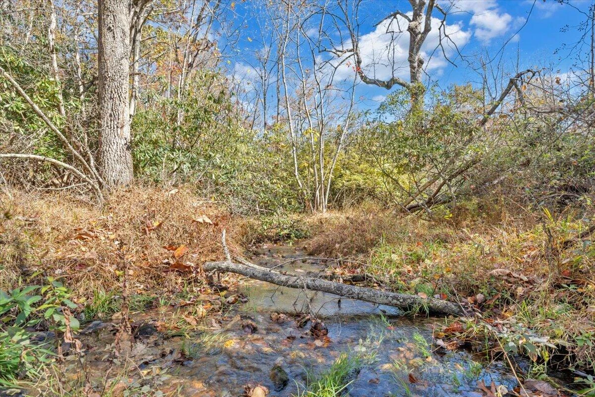 1533 Groundhog Mountain RD - Photo 67