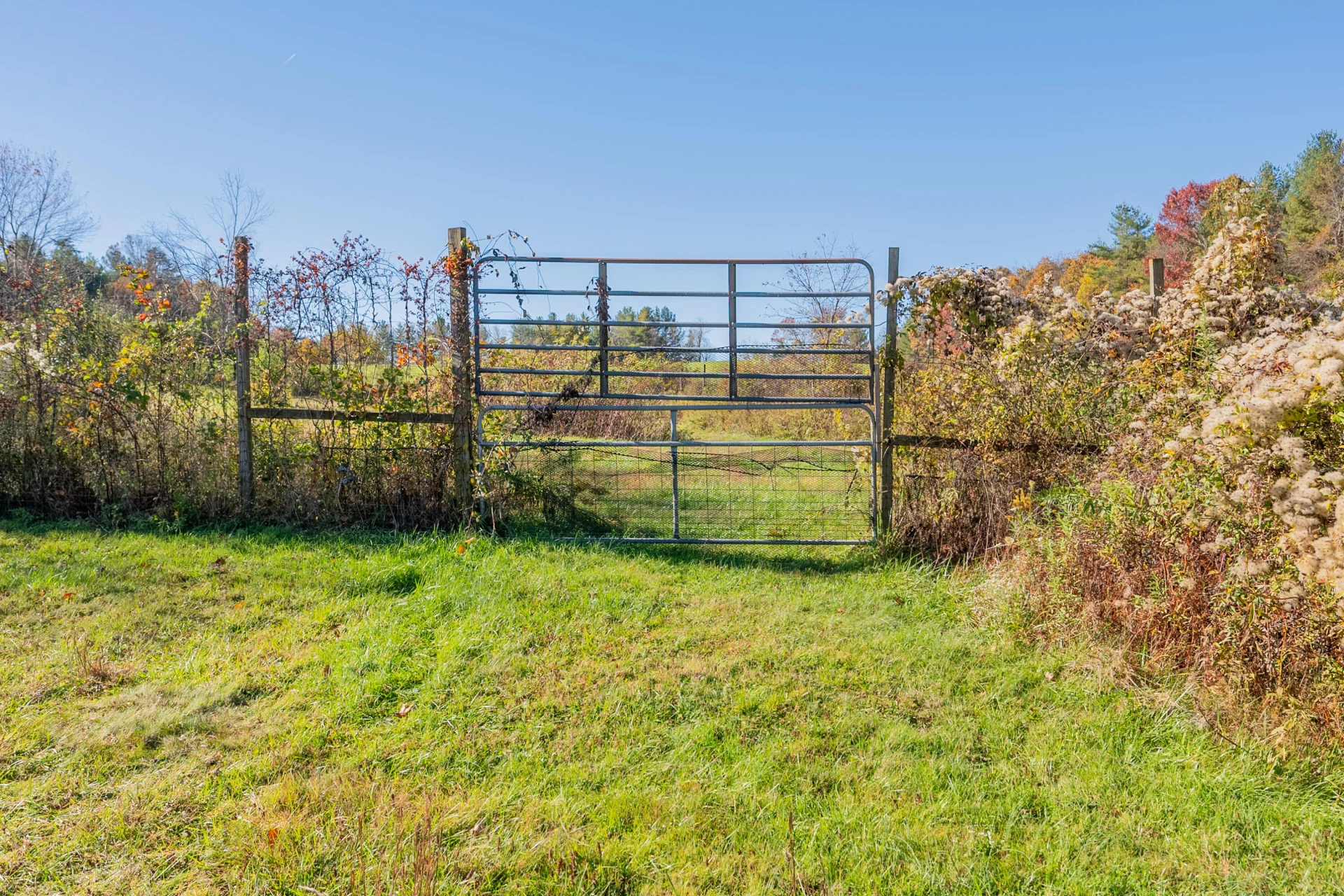 174 Water Haven LN - Photo 66