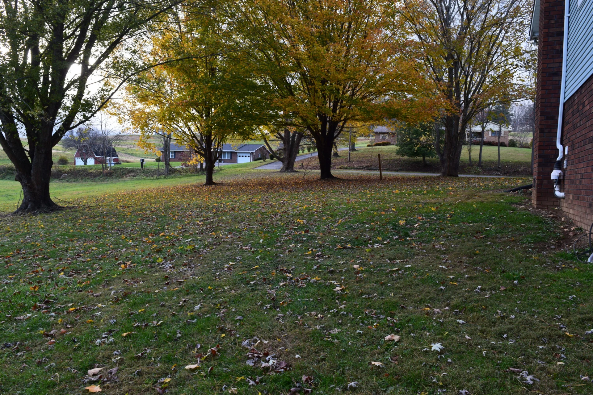 162 Ridgeview RD - Photo 47