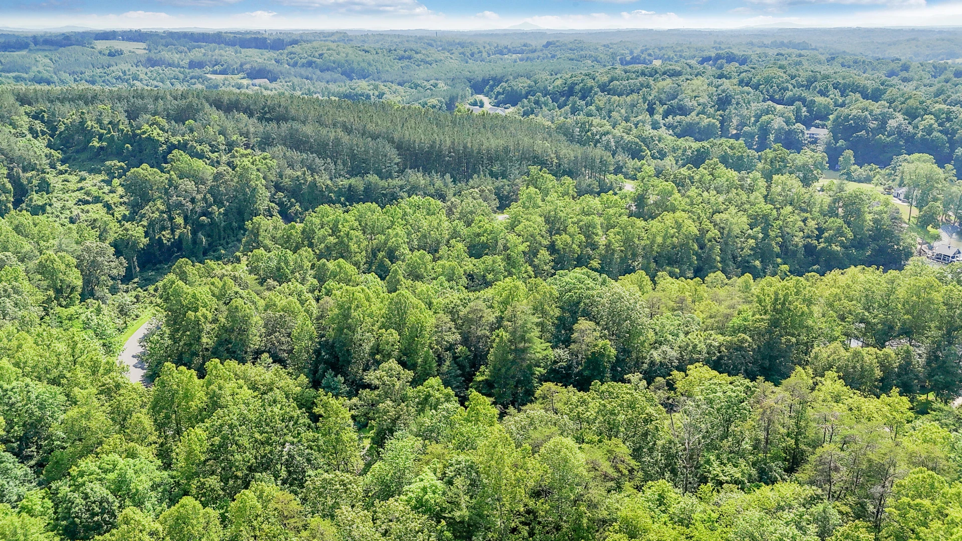 Lot 12 Watchtower DR - Photo 12